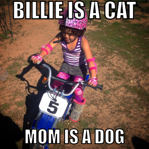 Billie is a cat